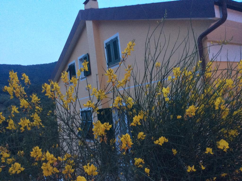 Ferienwohnung Ca Di Giaco Moneglia Exterior foto